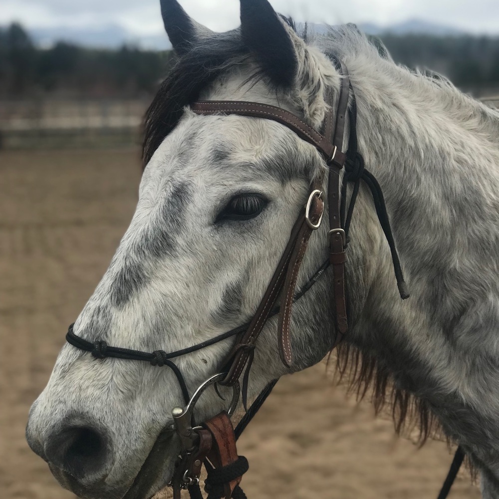 Meet your Posher, Heather